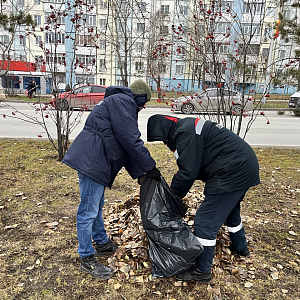 Забота об экологии – круглый год! 